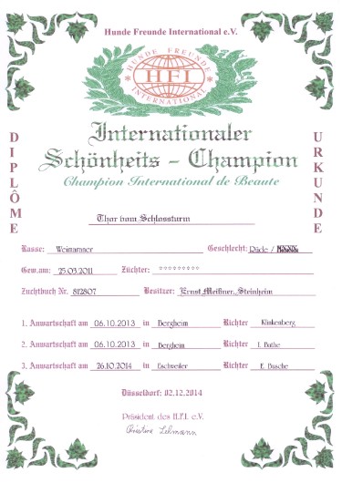 Schönheits-Champion Düsseldorf 2014